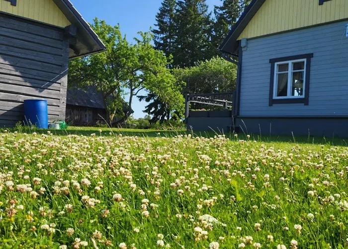 Vakantiehuis Saadumaee House Saarekula